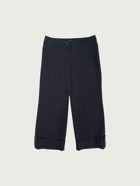 Loft Capri Pants